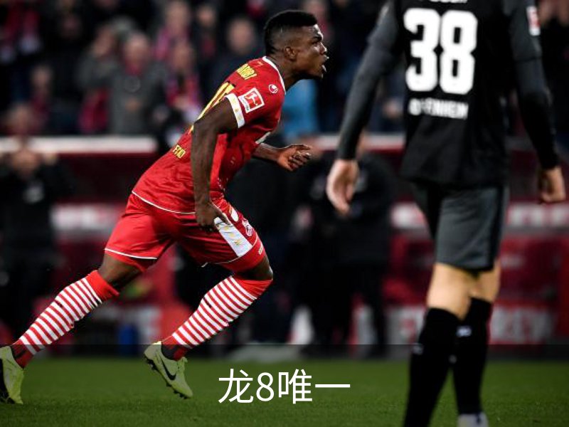 龙8唯一介绍